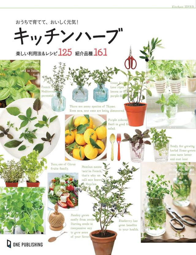 おうちで育てて、おいしく元気！キッチンハーブ(中古品)