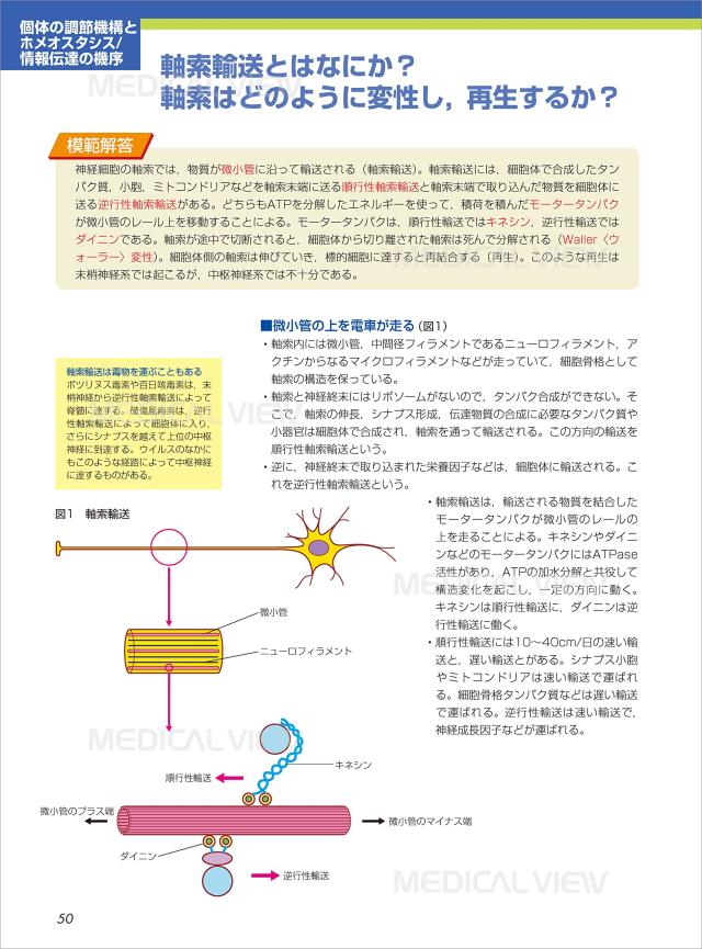生理学 カラーイラストで学ぶ 集中講義 中古品 の通販はau Pay マーケット Come To Store