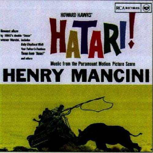 HATARI(中古品)