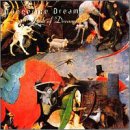 Book of Dreams(中古品)
