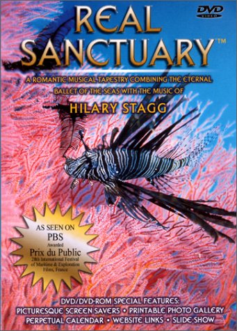 (未使用･未開封品)Hilary Stagg: Real Sanctuary [DVD] Hilary Stagg - Real Sanctuary (DVD, 2001) NEW rare oop