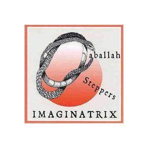 Imaginatrix(中古品)