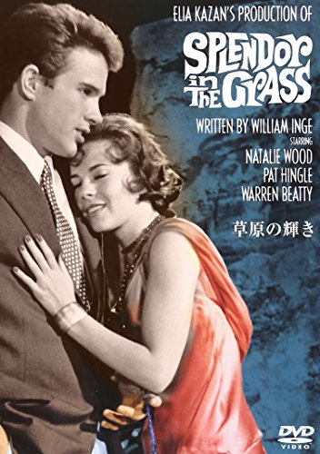 草原の輝き [DVD](中古品)