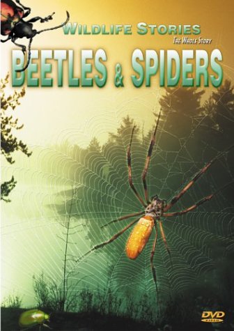 Beetles &amp; Spiders [DVD](中古品)