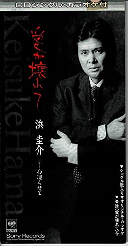 愛が壊れて(中古品)