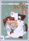 だぁ!だぁ!だぁ! すてっぷ11 [DVD](中古品)