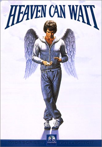 天国から来たチャンピオン [DVD](中古品)の通販は 4,698円