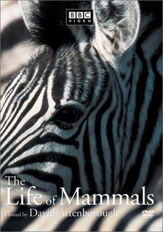 Life of Mammals 1 [DVD](中古品)