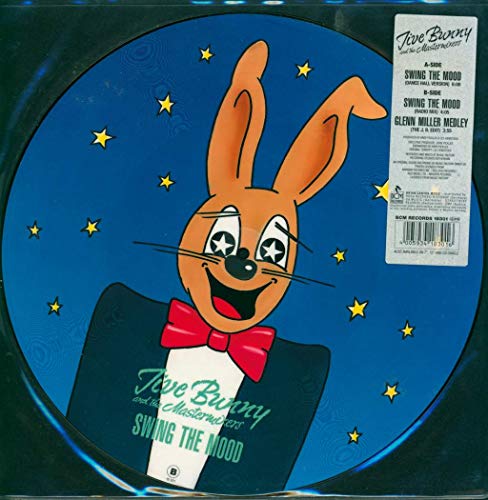 Swing the mood (1989%ｶﾝﾏ% Picturedisc) / Vinyl Maxi Single [Vinyl 12''](中古品) 8,831円