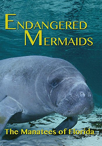 Endangered Mermaids: The Manatees of Florida [DVD] [Import](中古品)