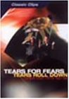 ティアーズ・ロール・ダウン~グレイテスト・ヒッツ ’82-’92 [DVD](中古品)の通販は