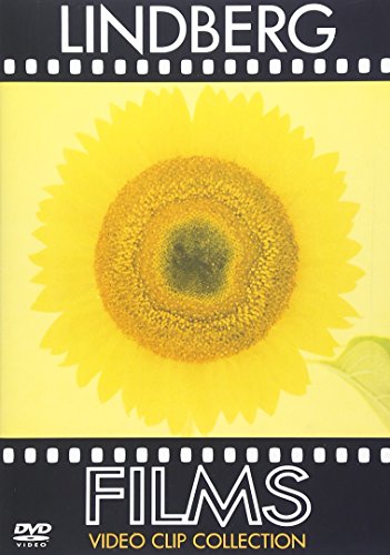 FILMS DVD(中古品)