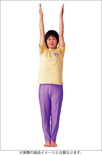 気力充実 ! 健康体操 自彊術 入門編・実践編 [DVD](中古品)