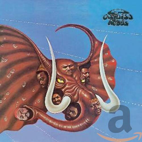 Heads(中古品)