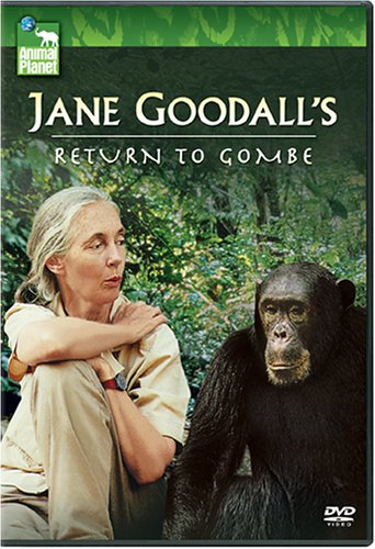 Jane Goodall: Return to Gombe [DVD](中古品) 8,837円