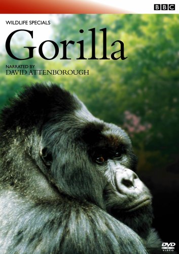 BBCワイルドライフ・スペシャル ゴリラ 密林の王者 [DVD](中古品)の