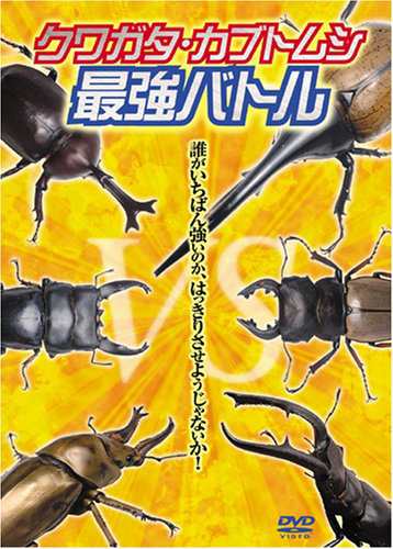 Amazon.co.jp: カブトムシVSクワガタムシ最強バトルDVDブック