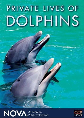 Nova: Private Lives of Dolphins [DVD] [Import](中古品)