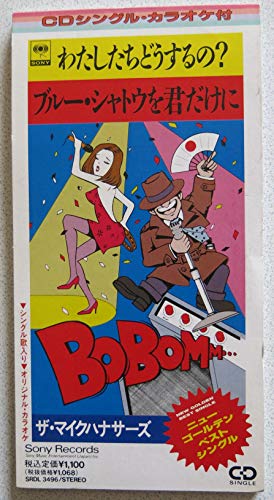 わたしたちどうするの?(中古品)