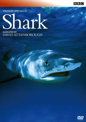 Suedehead(中古品) 5,518円