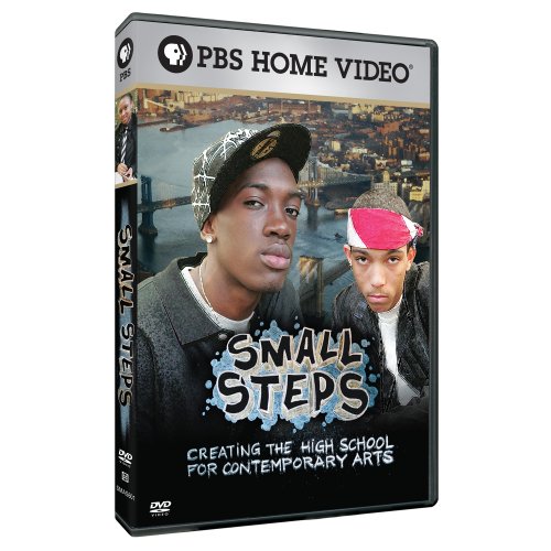Small Steps: Creating High School for Contemporary [DVD] [Import](中古品)