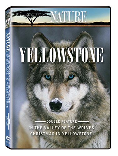 Nature: Yellowstone [ヴィデオディスク] [Import](中古品)