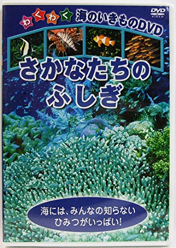 Ex-Dookie(中古品)