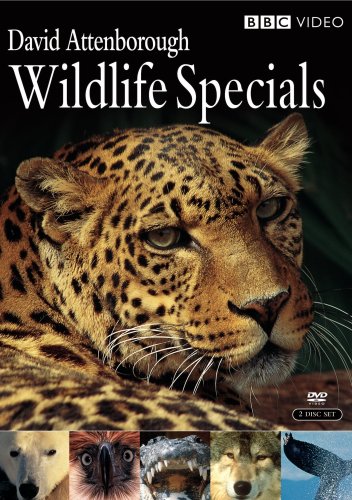 Wildlife Specials [DVD] [Import](中古品)