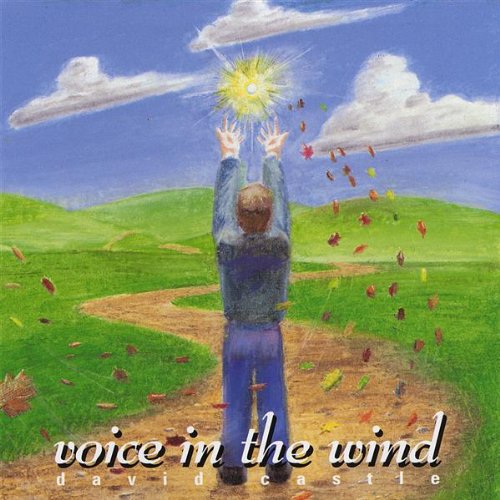 Voice in the Wind(中古品)の通販は