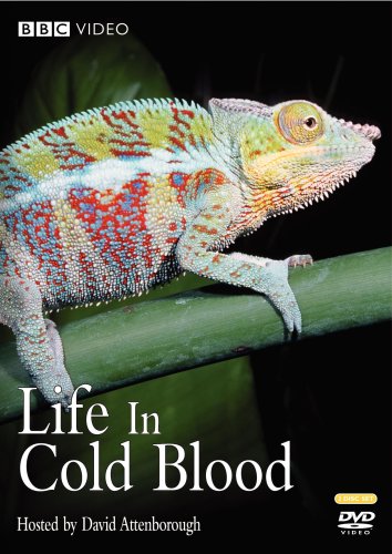 Life in Cold Blood [DVD] [Import](中古品)