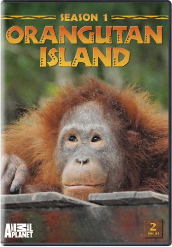Orangutan Island: Season 1 [DVD] [Import](中古品)