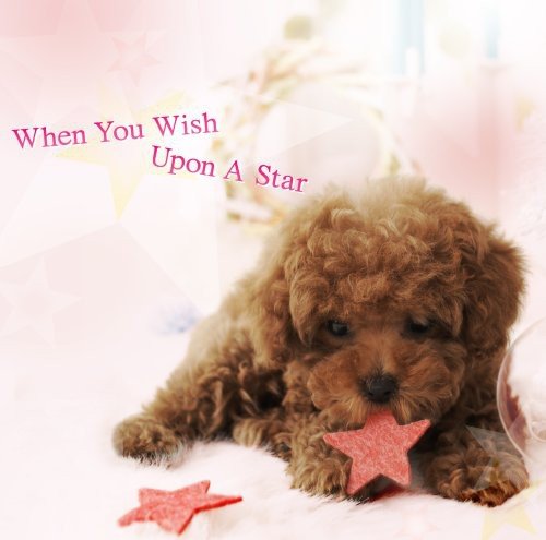 Holidays for Days 2022 Box Calendar(中古品)