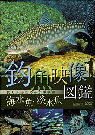 シンフォレストDVD 釣魚映像図鑑[海水魚・淡水魚]釣り人のための水中映像(中古品)の通販は