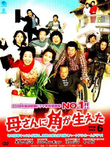 母さんに角が生えた　DVD-BOX6(中古品)