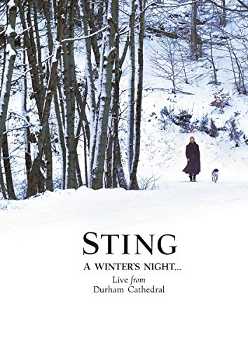 A Winter's Night: Live from Du [DVD] [Import](中古品)
