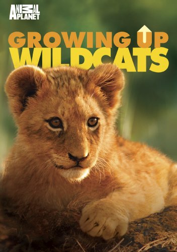 Growing Up Wildcats [ヴィデオディスク] [Import](中古品)