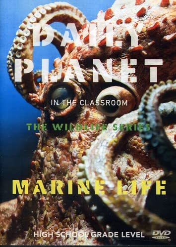 Marine Life [DVD] [Import](中古品)