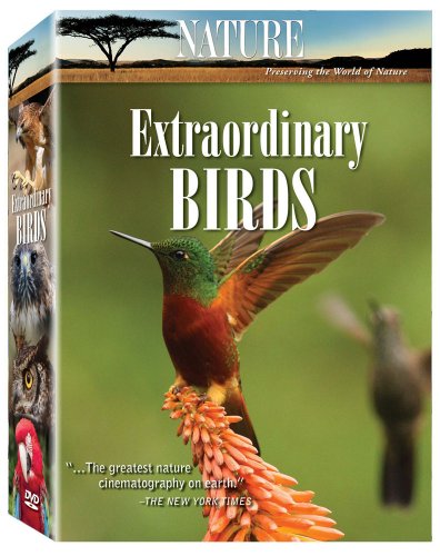 Nature: Extraordinary Birds [DVD] [Import](中古品)