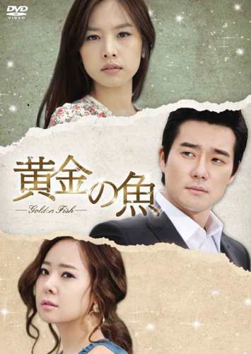 黄金の魚 DVD-BOX 2(中古品)