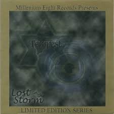 Lost In the Storm(中古品)