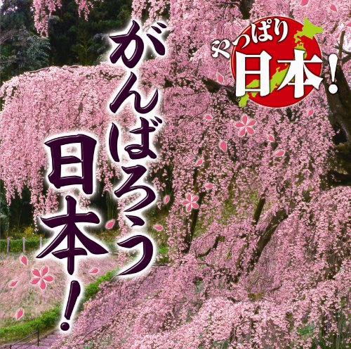 やっぱり日本! がんばろう日本!(中古品)