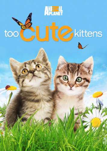 Too Cute Kittens [DVD] [Import](中古品)の通販は