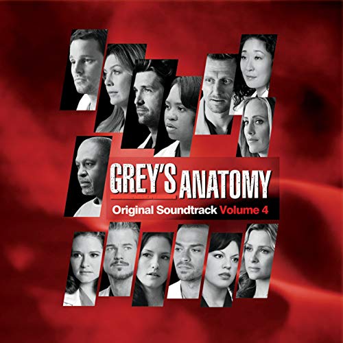 Vol. 4-Grey's Anatomy(中古品)