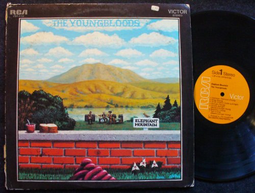 Elephant Mountain(中古品)の通販は 7,986円