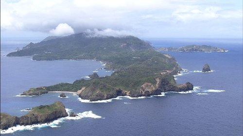 ワイルドライフ 世界自然遺産 小笠原諸島 絶海の楽園に奇跡の進化を見た [D(中古品)