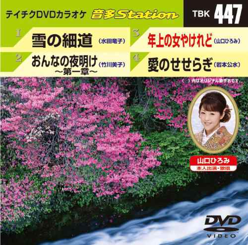 テイチクDVDカラオケ 音多Station(中古品)