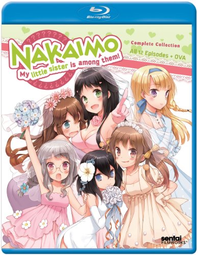 この中に1人、妹がいる!(中古品)