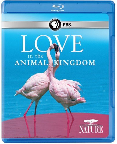 Nature: Love in the Animal Kingdom [Blu-ray] [Import](中古品)