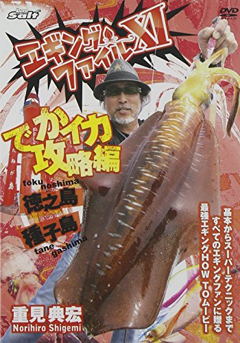 エギングファイル 11 [ヴィデオディスク](中古品)