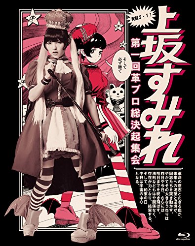 実録・2.11 第一回 革ブロ総決起集会 Blu-ray(中古品)